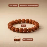 5 Mukhi Rudraksha Bracelet