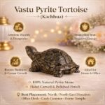 Pyrite Tortoise
